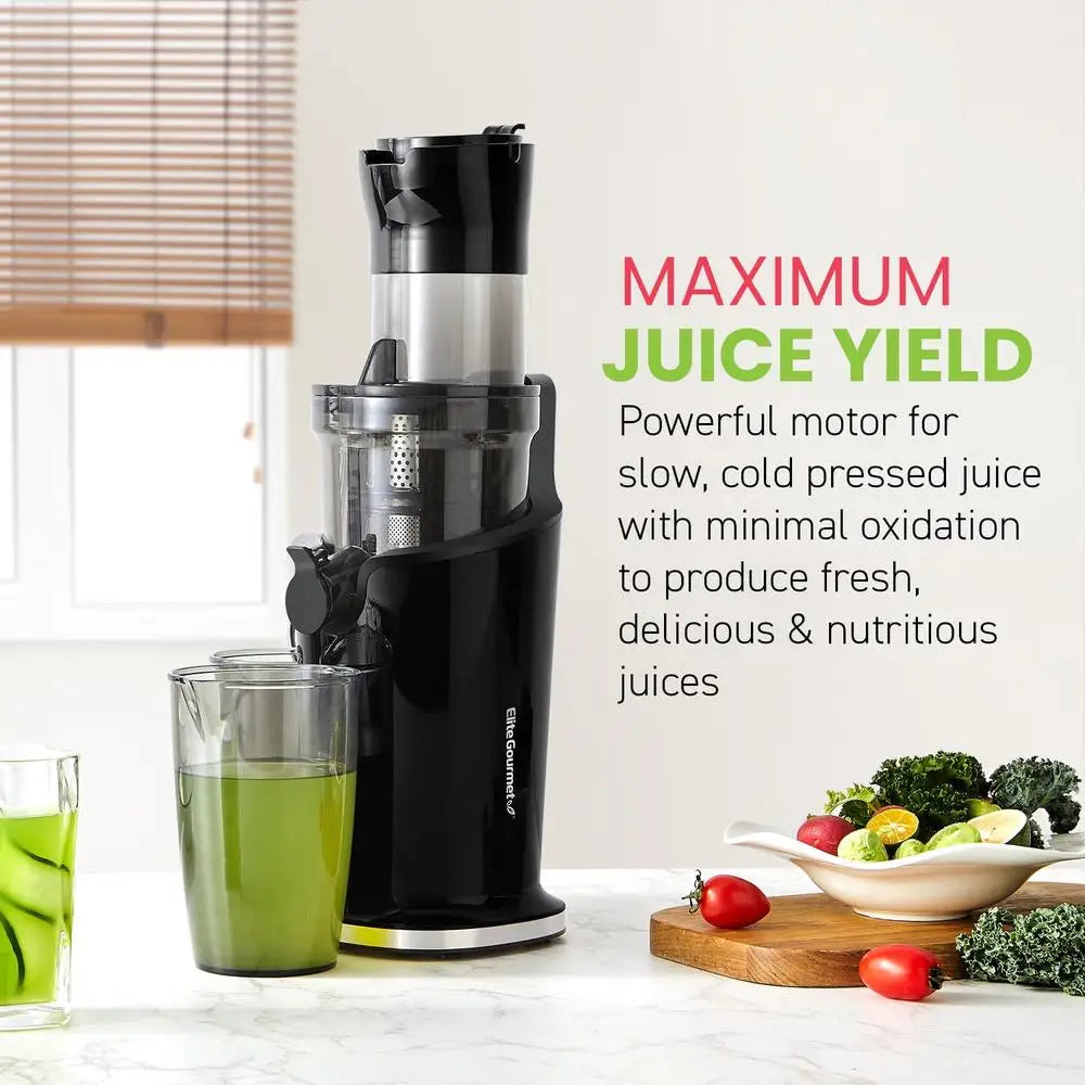 Cold Press Masticating Juicer High Torque Slow Juicer