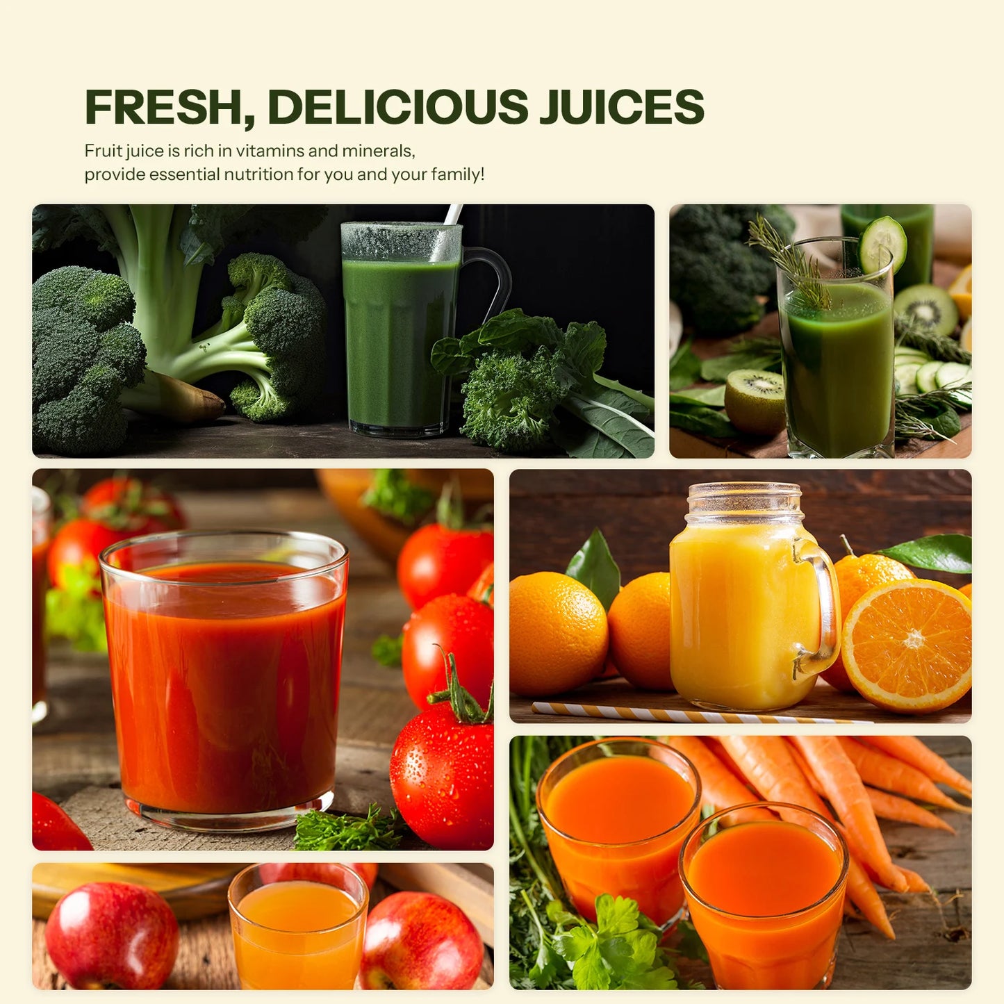 Masticating Juicer Machines, Juice Extractor