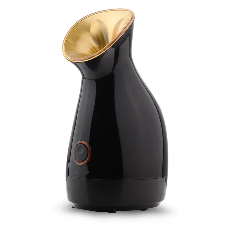 New Facial Steam Spray