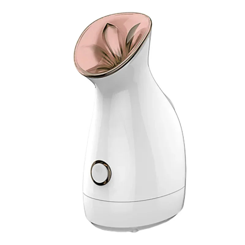 New Facial Steam Spray