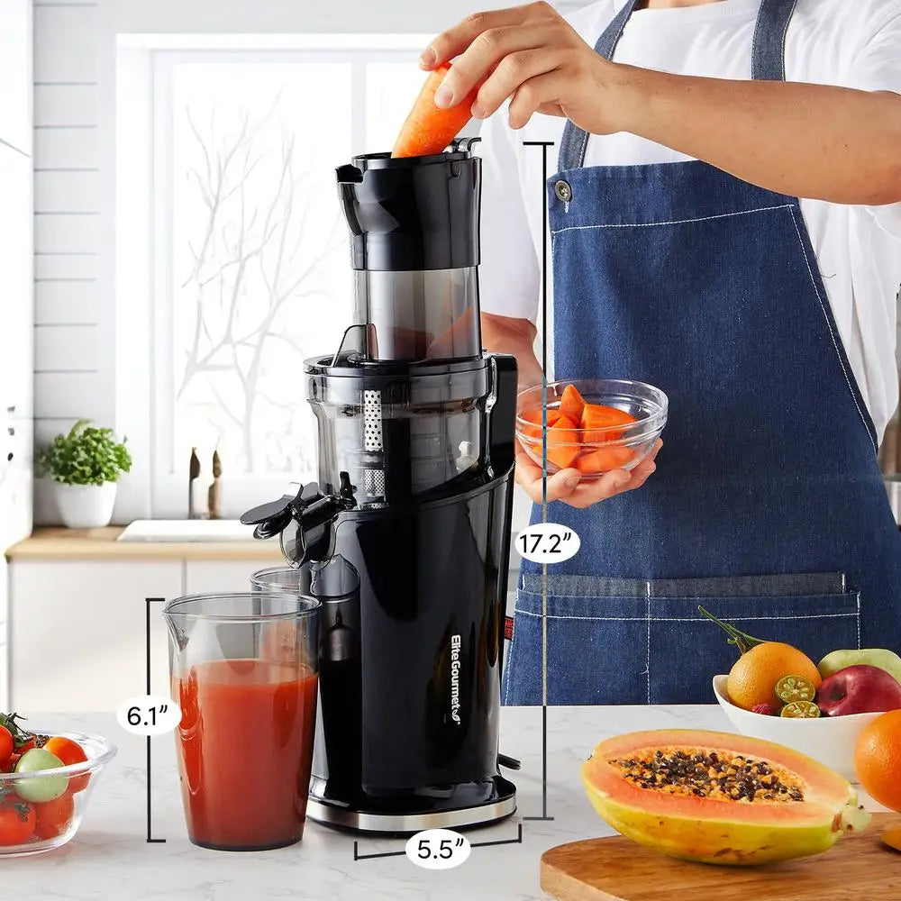 Cold Press Masticating Juicer High Torque Slow Juicer