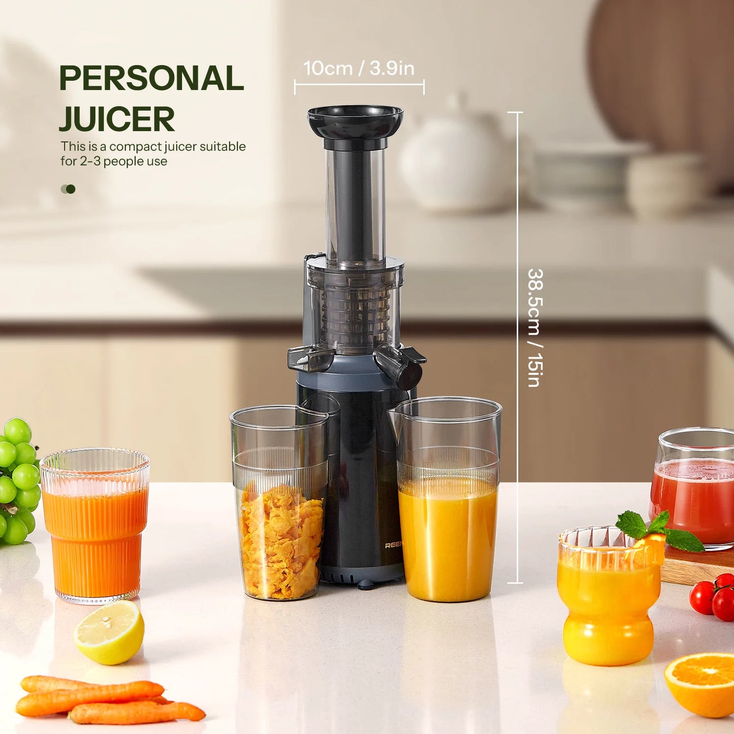 Masticating Juicer Machines, Juice Extractor