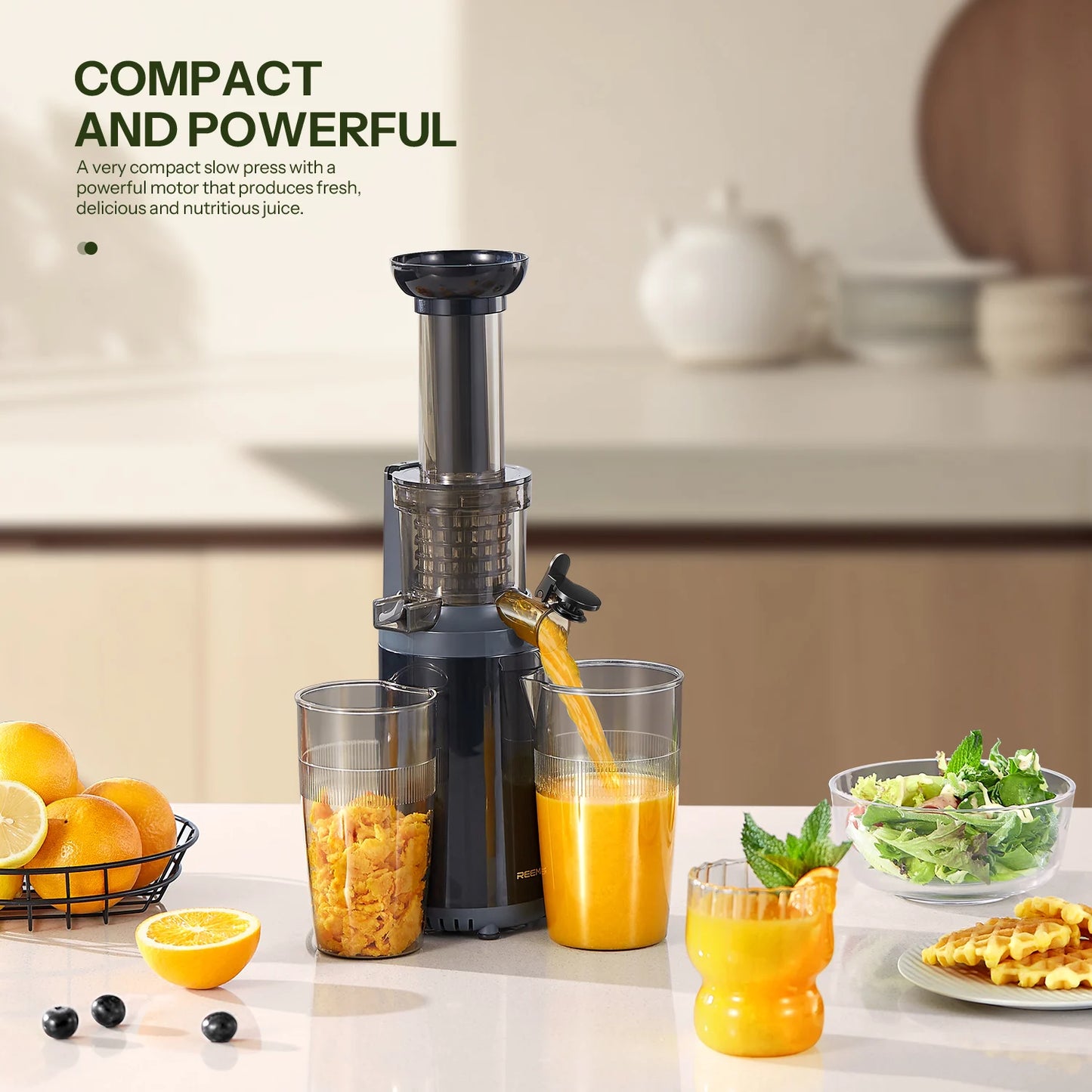 Masticating Juicer Machines, Juice Extractor