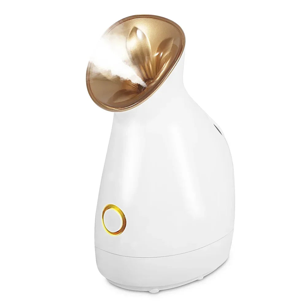 New Facial Steam Spray