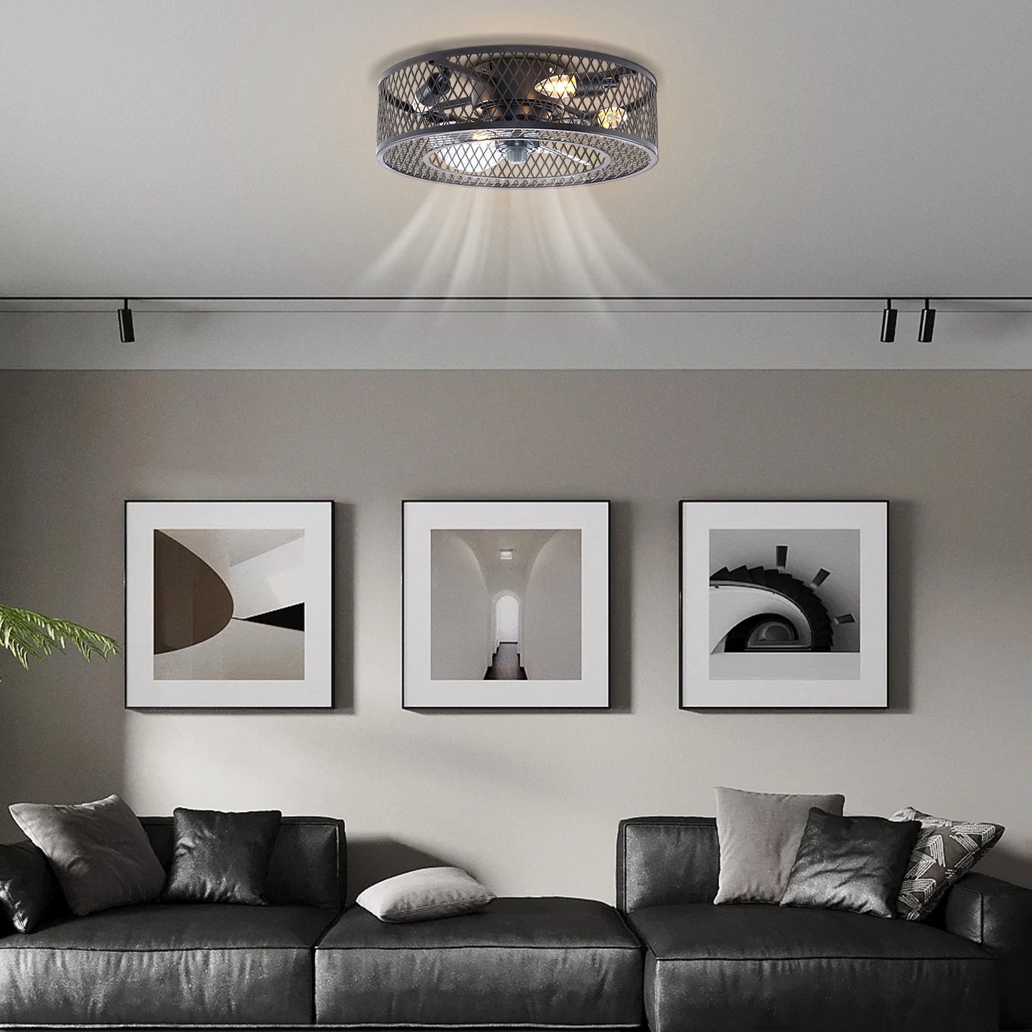 Caged Ceiling Fan with Lights and Remote