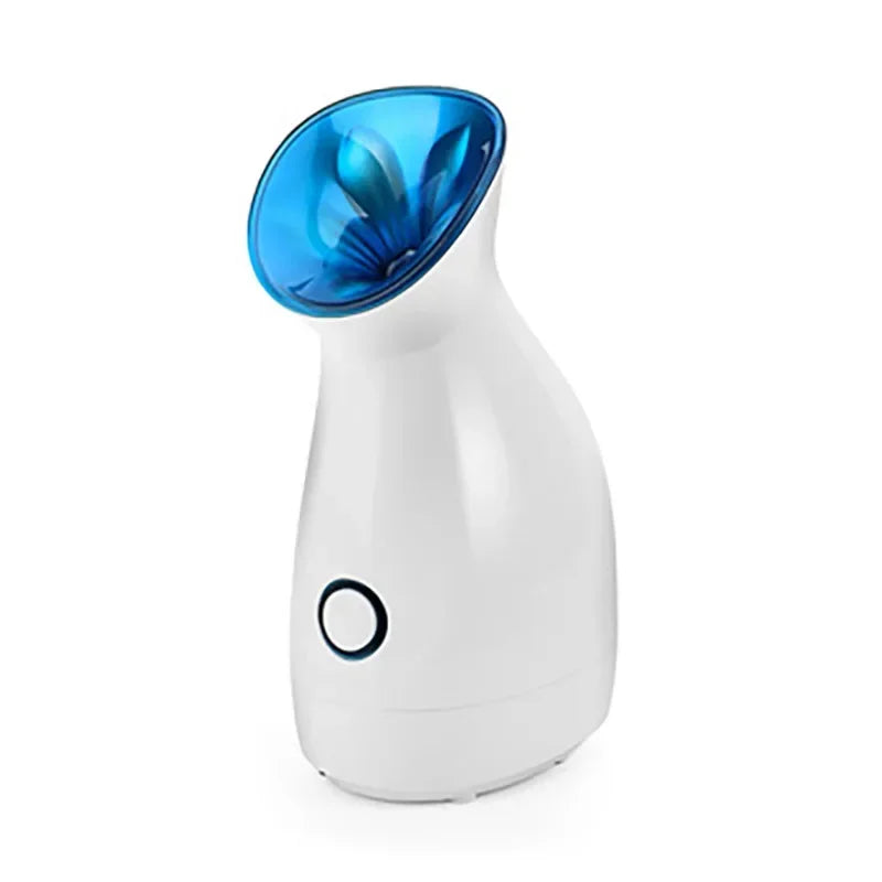 New Facial Steam Spray